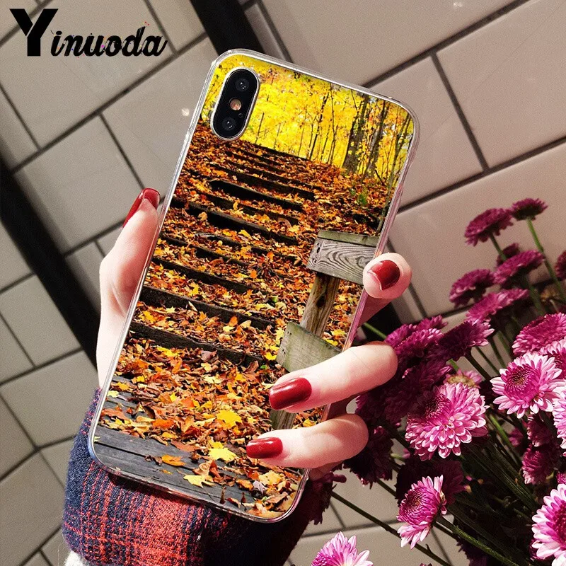 Autumn falling leaves