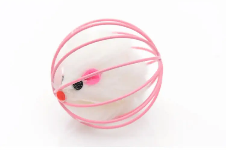 

1Pc Cat Toy Cute Creative Cage Rat Toy Plastic Artificial Colorful Cat Teaser Toy Pet Supplies For Cat Random Color