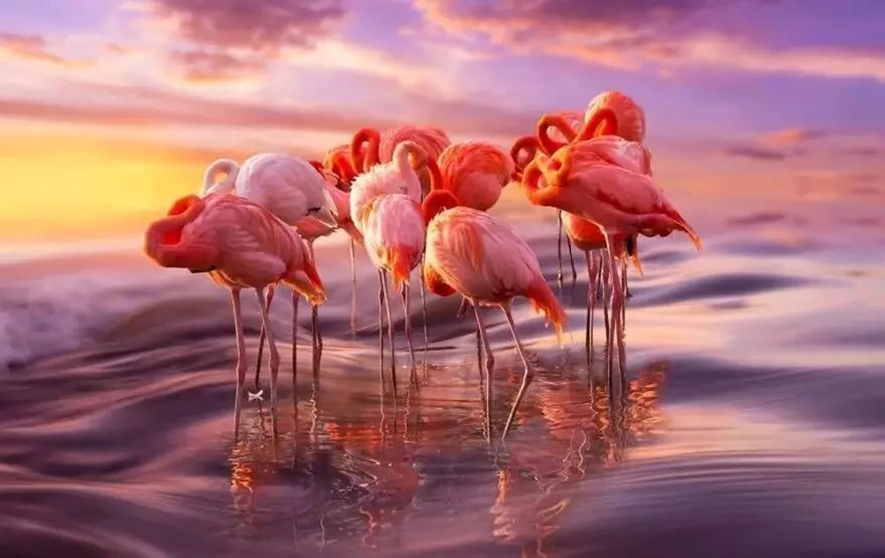 Diy Full Round Diamond Embroidery Flamingo 5D Painting Cross Stitch 3D Mosaic Decoration Needlework Gift | Дом и сад