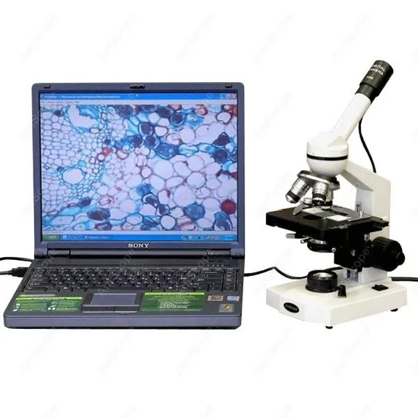Monocular Compound Microscope AmScope Supplies 40X 2500X