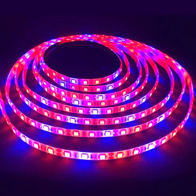 1m 2m 3m 4m 5m Led Grow Light Dc12v 5050 Ip65 Waterproof Plant 1m 2m 3m 4m 5m Led Grow Light Dc12v 5050 Ip65 Waterproof Plant Growth Strip