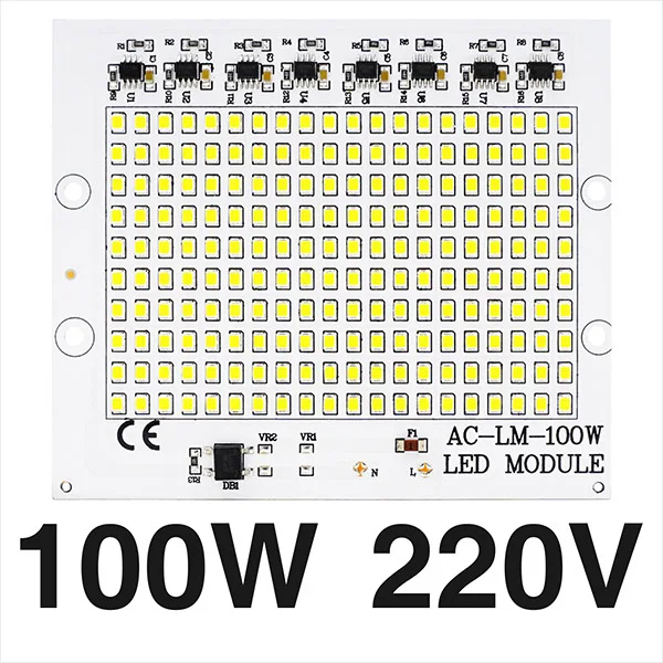 2 шт. светодиодный чип SMD Smart IC AC 220-240 В 10 Вт 20 Вт 30 Вт 50 Вт 100 Вт реальная мощность DIY для наружного прожектора холодный белый теплый белый - Испускаемый цвет: 100W 220V