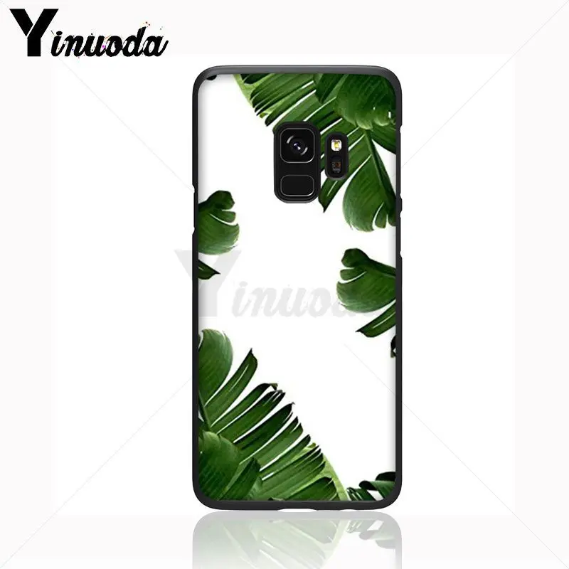green plant leaves