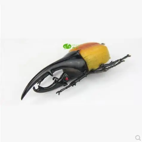 Большая пластиковая модель жука детские игрушки раннего возраста|toy model|plastic