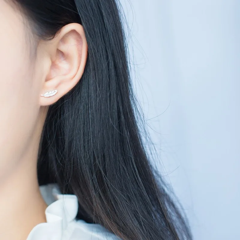 3469105454_334617663