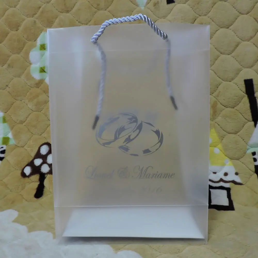 custom printed shopping frosted pp gift bag/plastic packaging pvc bag