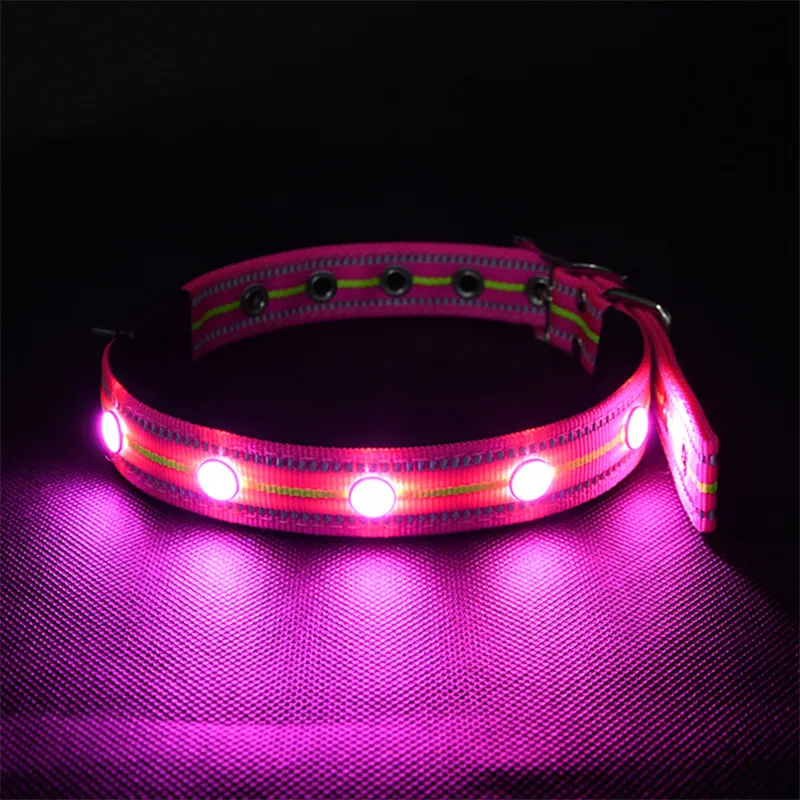 LED Dog Collar USB (10)
