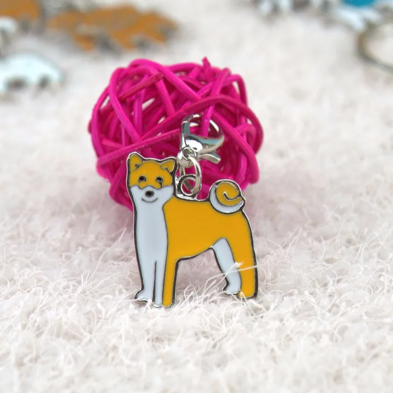 aeProduct.getSubject()