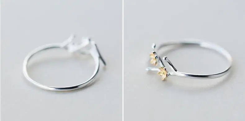 36020181123161123333