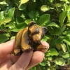 Natural Stone Carved Tiger eye stone cute bear Rose quartz crystal figurine stone Bear statue 1