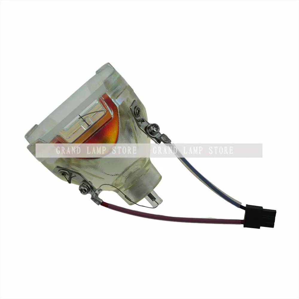 SP-LAMP-005