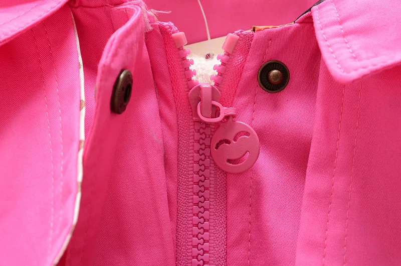 2462830100_1776498434
