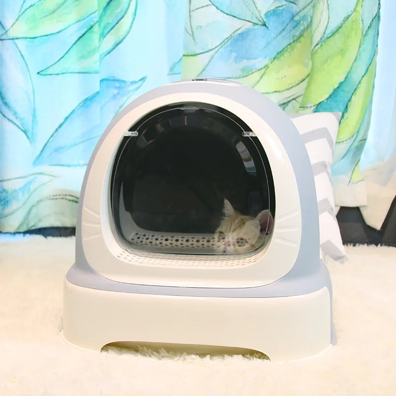 10305585909_1997453582