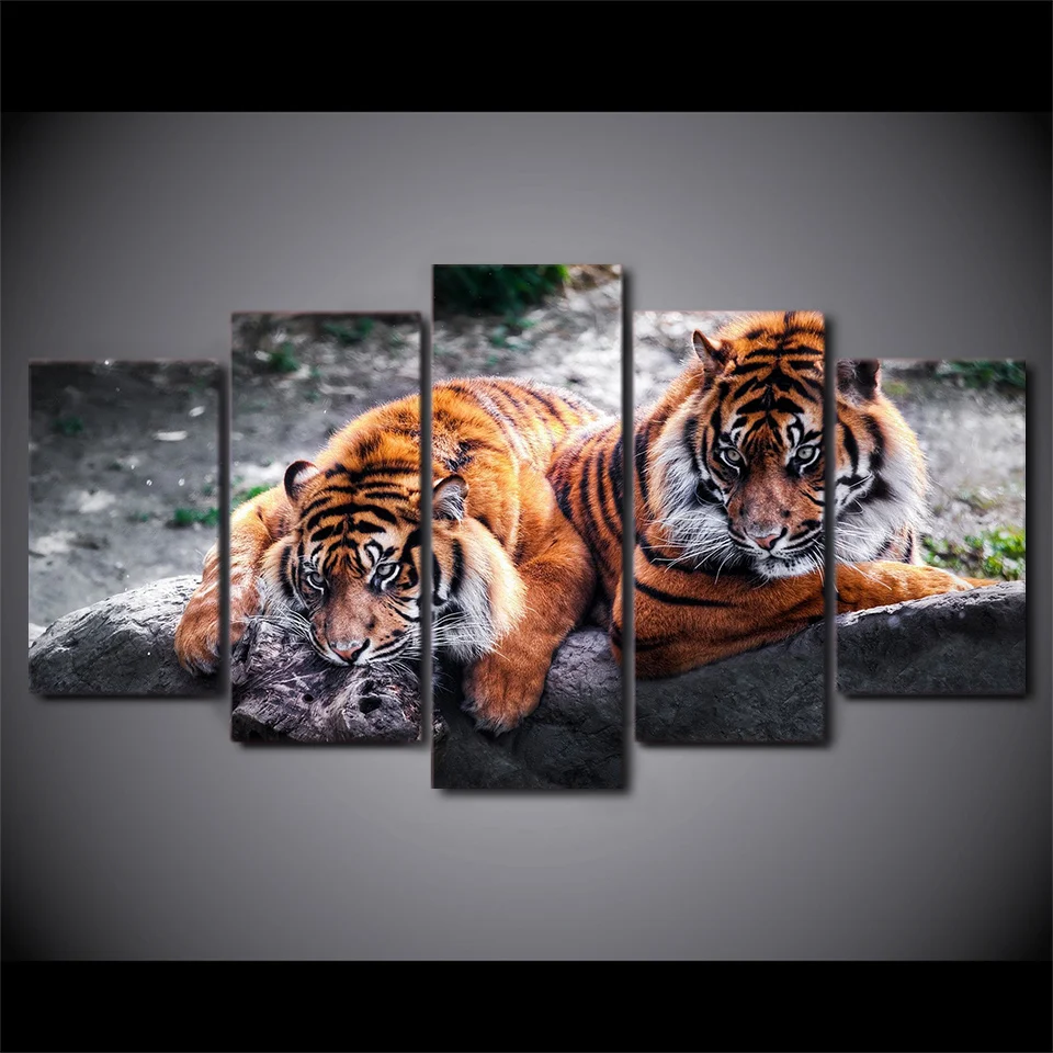5 Pieces Canvas Prints Two Tigers Animals painting Wall Art Panels