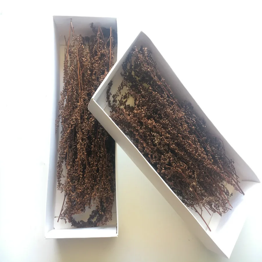 architecture model tree grass model (6)