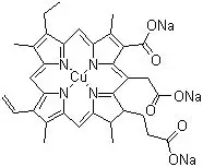 Competitive Price super chlorophyll powder