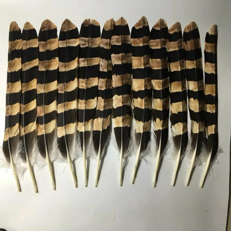 

Wholesale 5 / lot natural beauty zebra pattern eagle feathers rare 14-16 inches / 35-40 cm celebration decoration dress