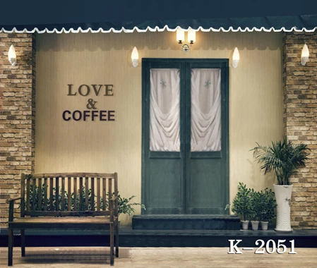 

10x10ft vinyl photography backdrop vinyl backdrops for photography vintage photography background wall and house door k-2051