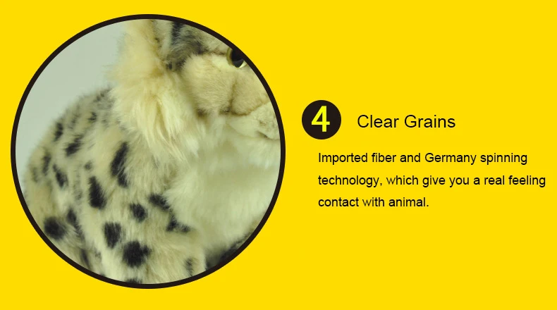 4433529006_2076369807