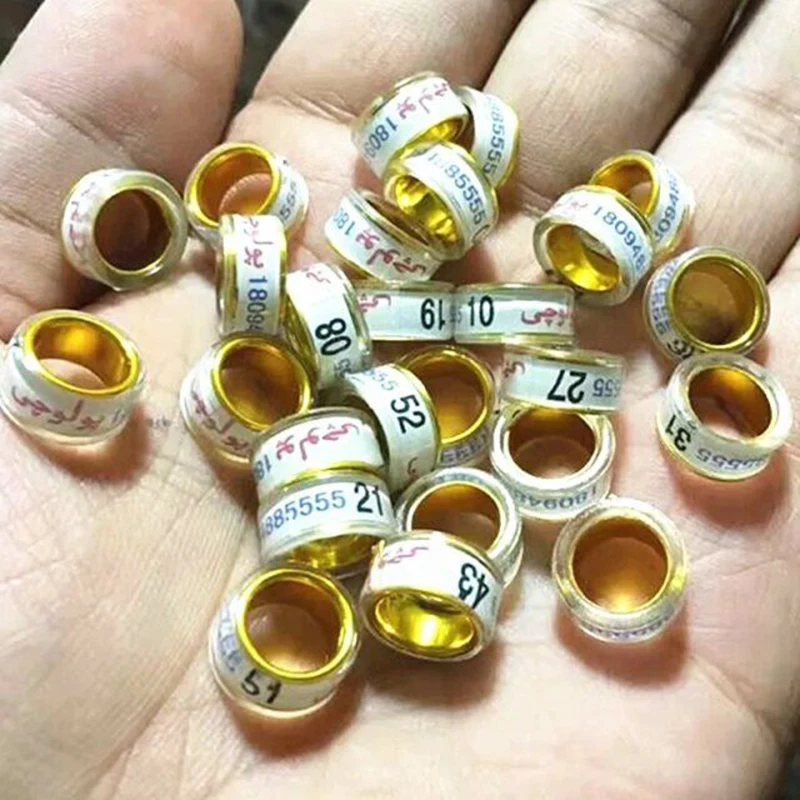 

100 pcs pigeon foot rings supply finch bird canary aluminum birds rings bands 2019 rings Customized name and phone number