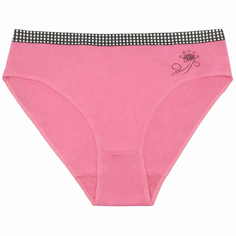 7935933218_497080241_