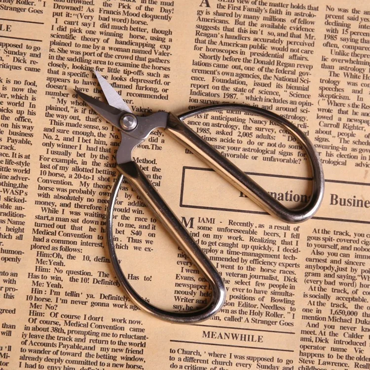 2pcs lot Genuine Hangzhou Zhang Xiaoquan NS-9 Alloy Nail Scissors Nail Scissors Small Head Scissors Stainless Steel Scissors 4