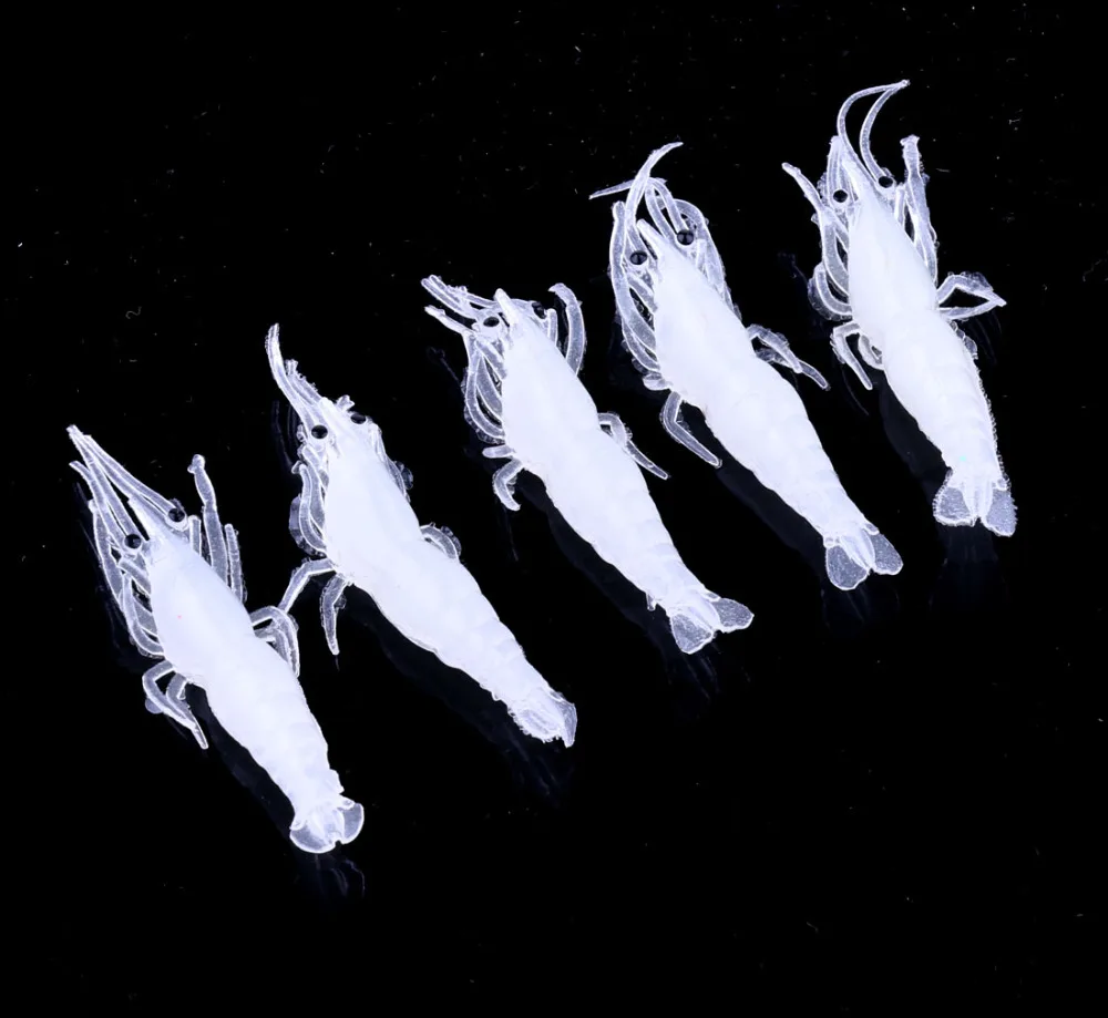IMG_9378