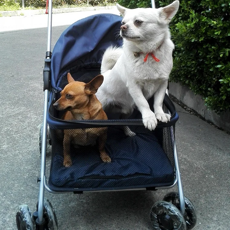 

4 Colors 20kg folding pet stroller large space breathable dog strollers safe and reliable dog carrier for large dogs