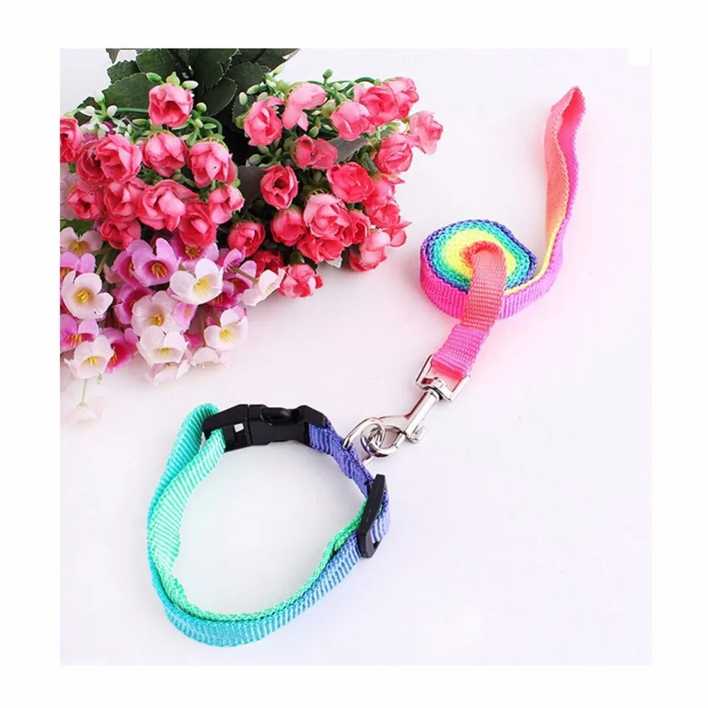 Pet Dog Colorful Nylon Collars with Leashes, Fashion Puppy Dog