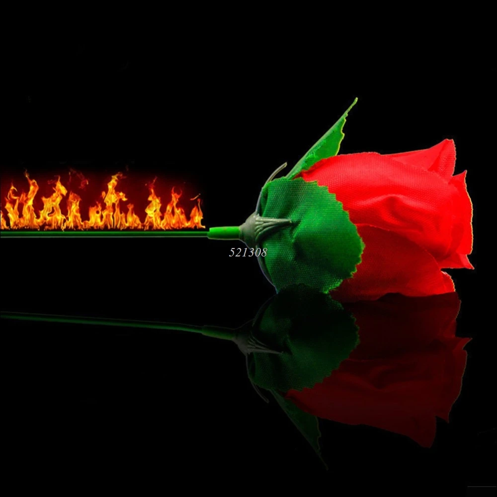 Сцена крупным планом волшебный трюк фонарь Роза к огню трюки пламя появляющийся цветок горячий