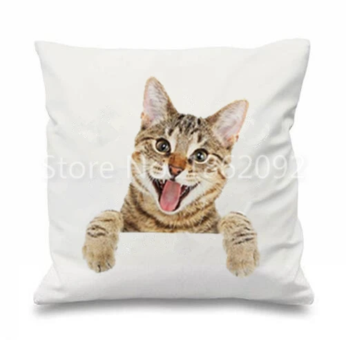 HTB1EjBDLFXXXXaqXVXXq6xXFXXXt__