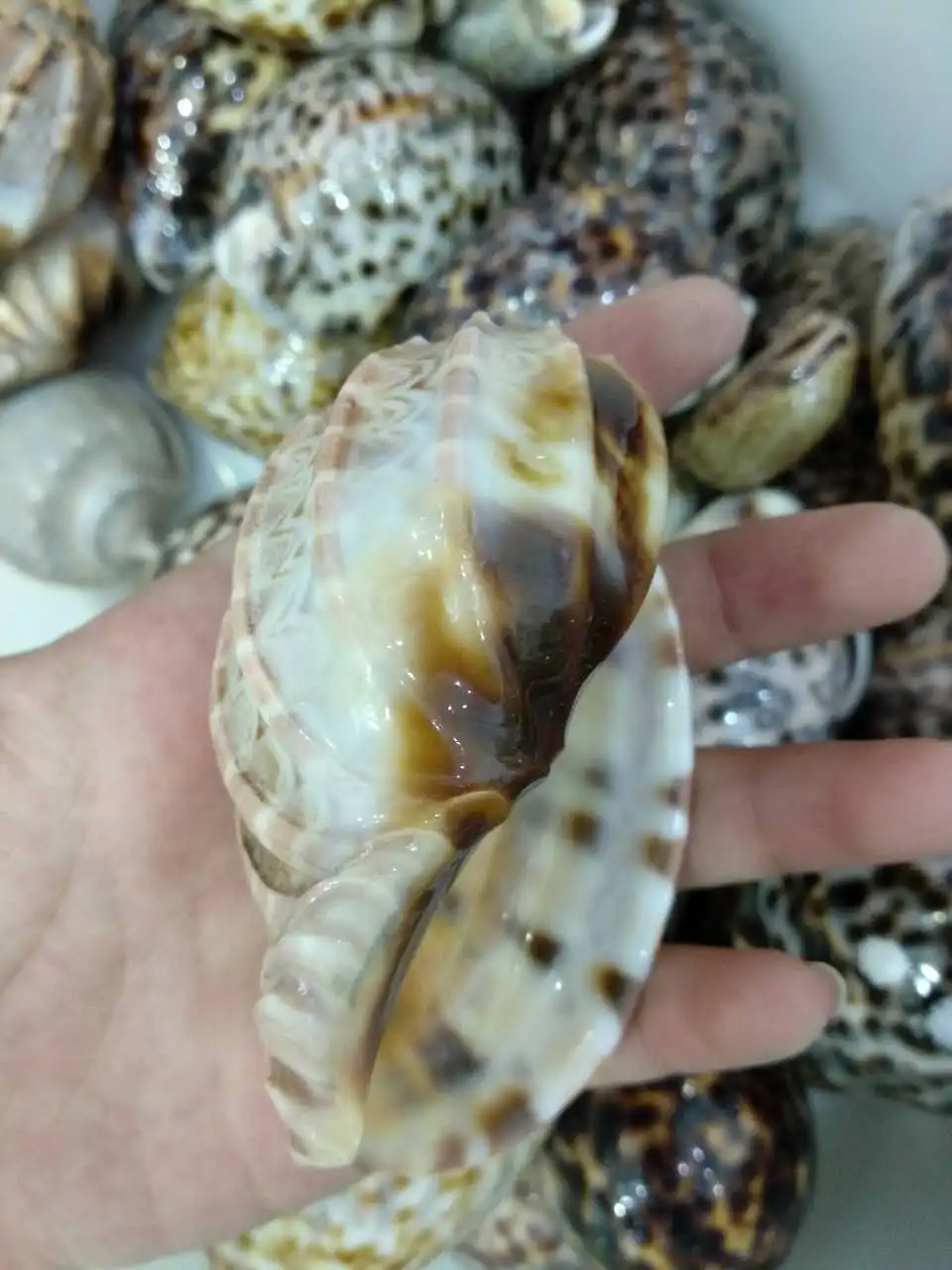 1 шт. красочные искусственные минеральные Исцеляющие Мадагаскарские натуральные