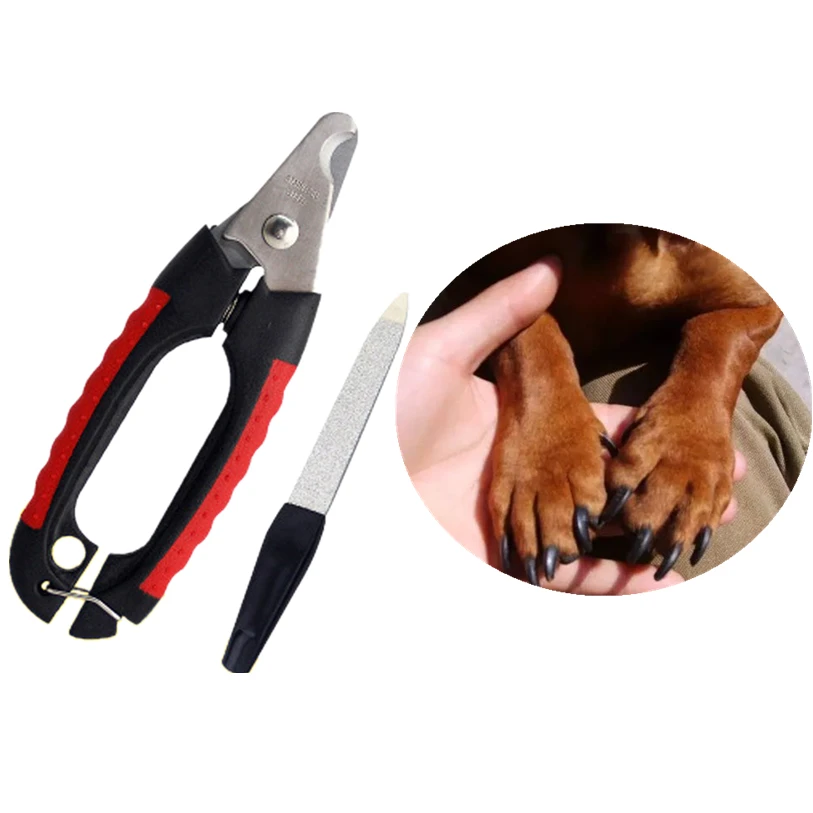 

Small Pet Dog Nail Clipper Cutter Trimmer Pet Nail File Set Stainless Steel Grooming Scissors Clippers for Animals Cats 40JA30