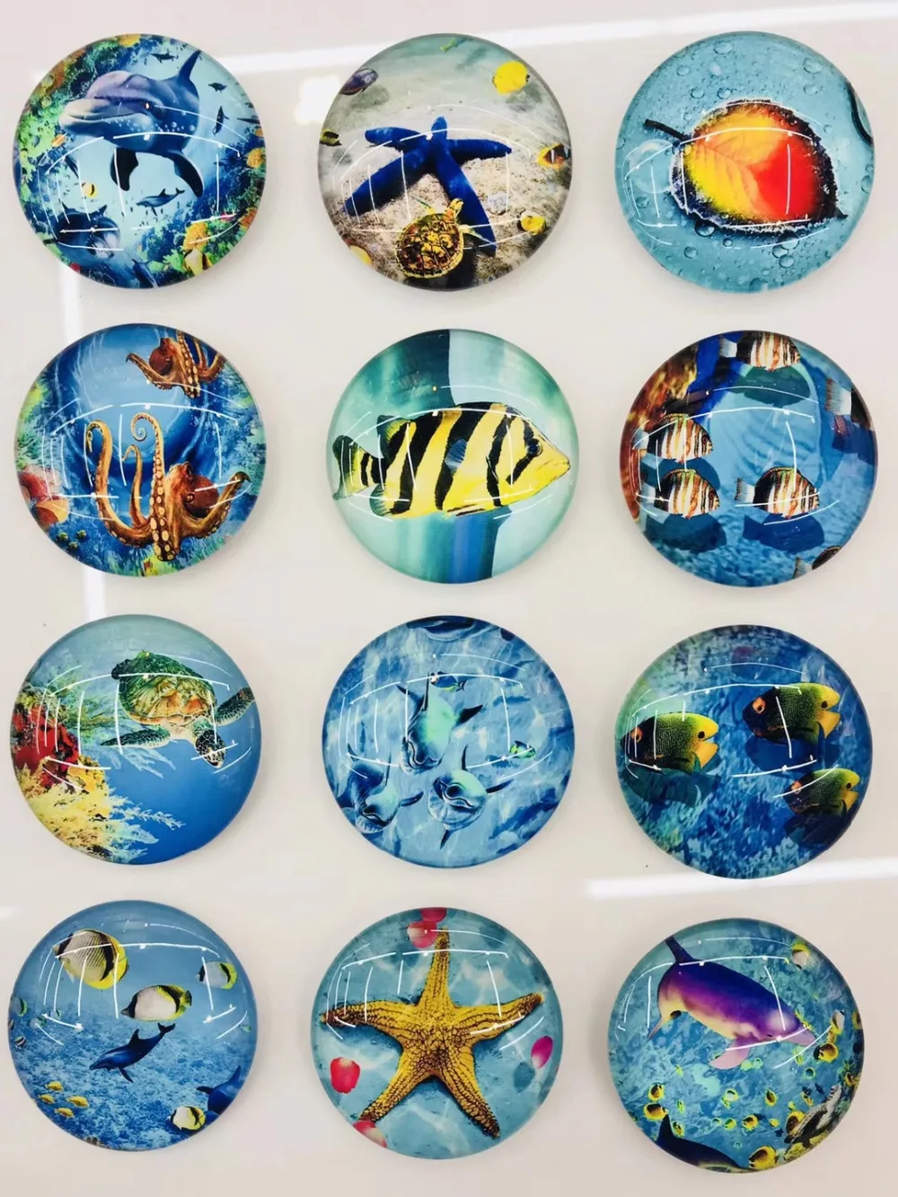 

20pcs Marine animals, turtles, starfish, dolphins, cuttlefish, sharks, marine fish,dog Blue and white porcela Glass Cabochon