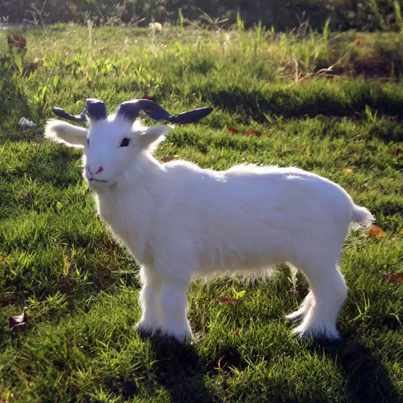 baby goat toy