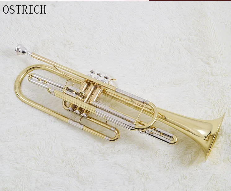 Mall genuine musical instrument sounds Jinbao licensing JBBT 1900 bass