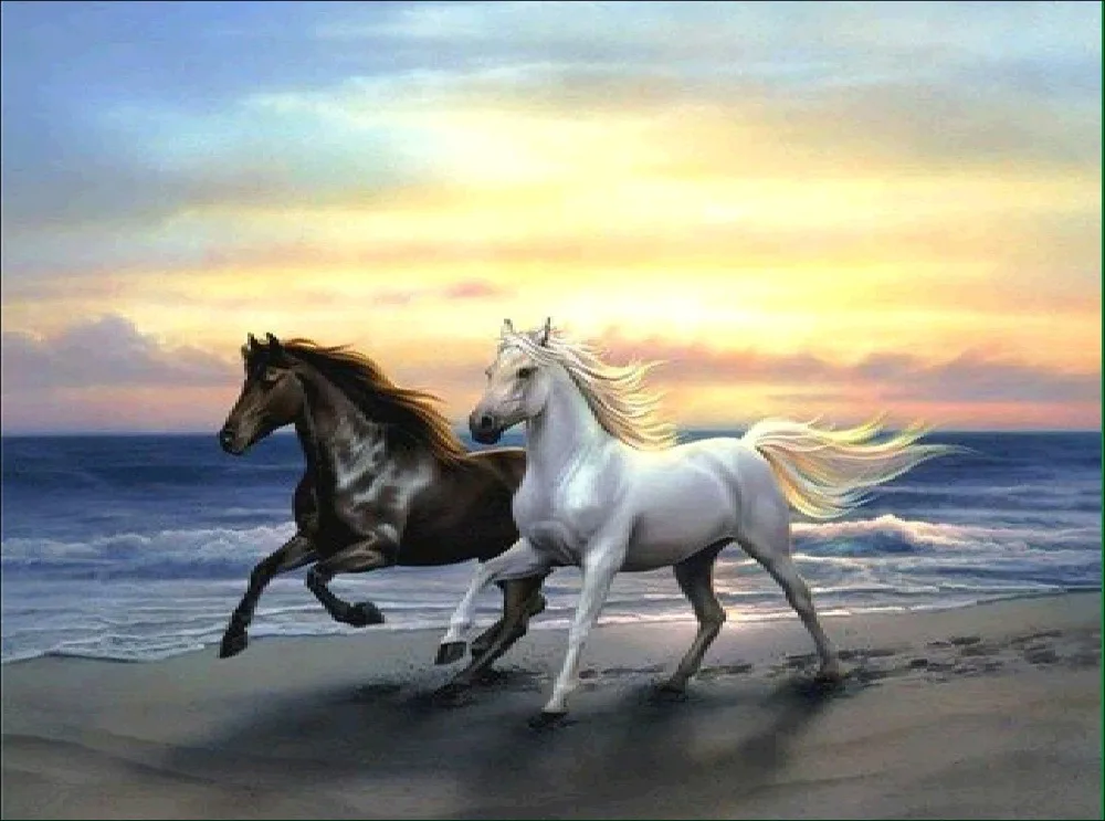 Daimond Painting Dieren Diamond Painting Horse Cross Stitch