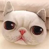 38 см* 34 см, домашняя текстильная подушка, плюшевая подушка, 3D кошка, подушка, мягкая подушка для девочки, удобная и мягкая, низкая цена, креативный подарок - Цвет: Белый