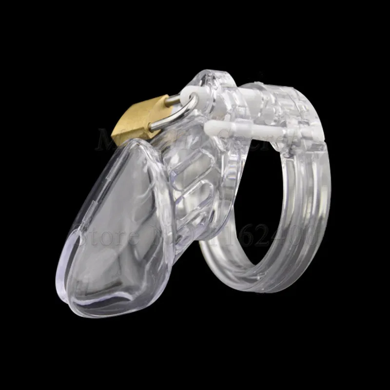 8088016683_159601279