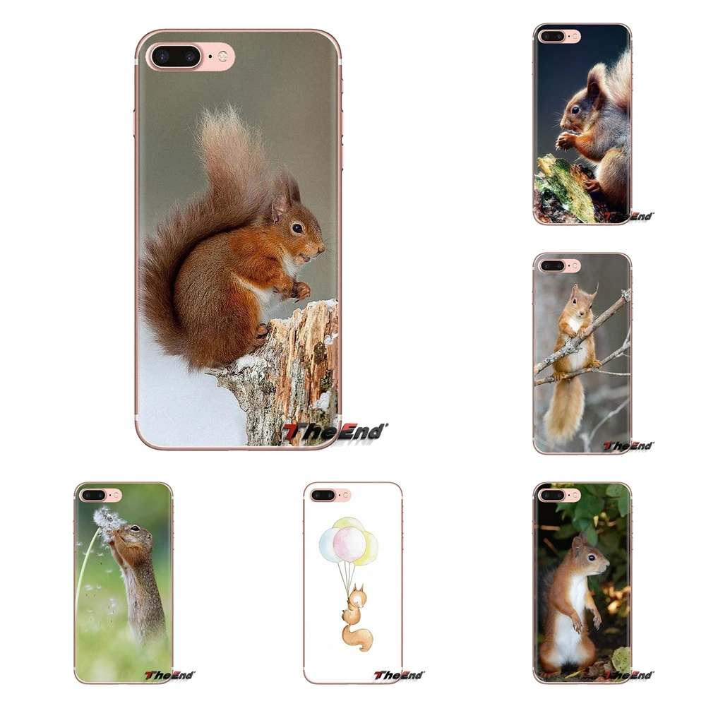 For Huawei Nova 2 3 2i 3i Y6 Y7 Y9 Prime Pro GR3 GR5 2017 2018 2019 Y5II Y6II cute Squirrel Soft Transparent Cases Covers |