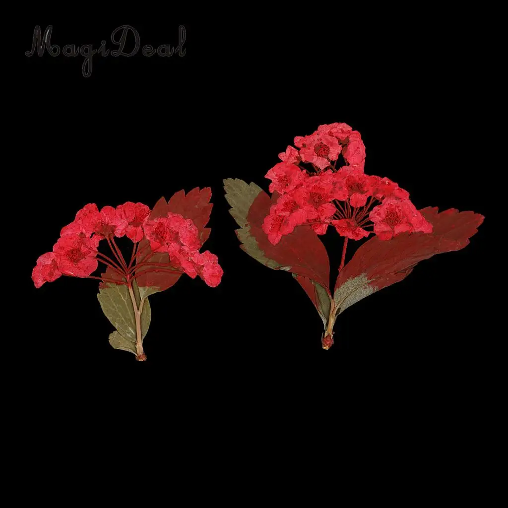 10pcs Red Flower Natural Real Pressed Dried Flower for Jewelry Making Handmade DIY Resin Ornament Crafts