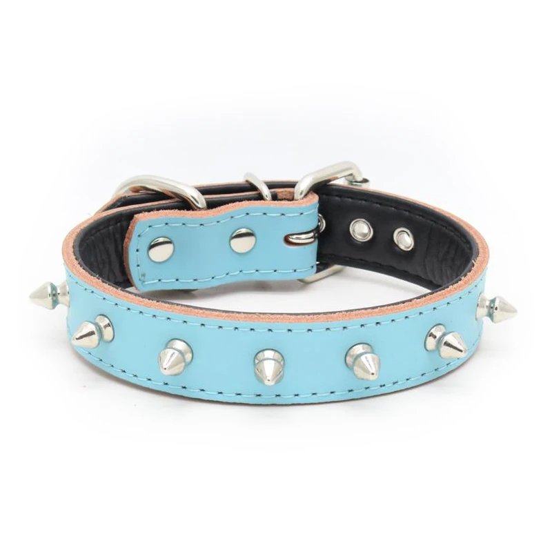 1 dog collar 