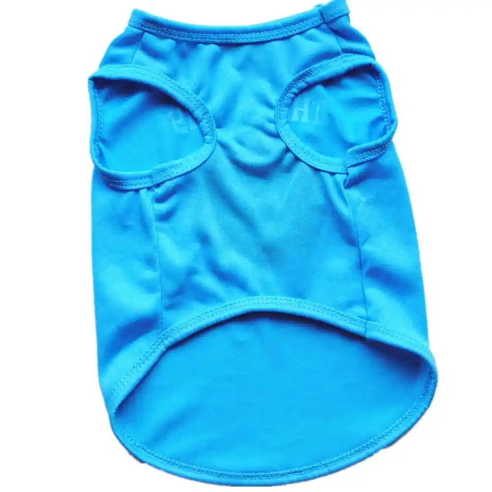 cheapest dog clothes