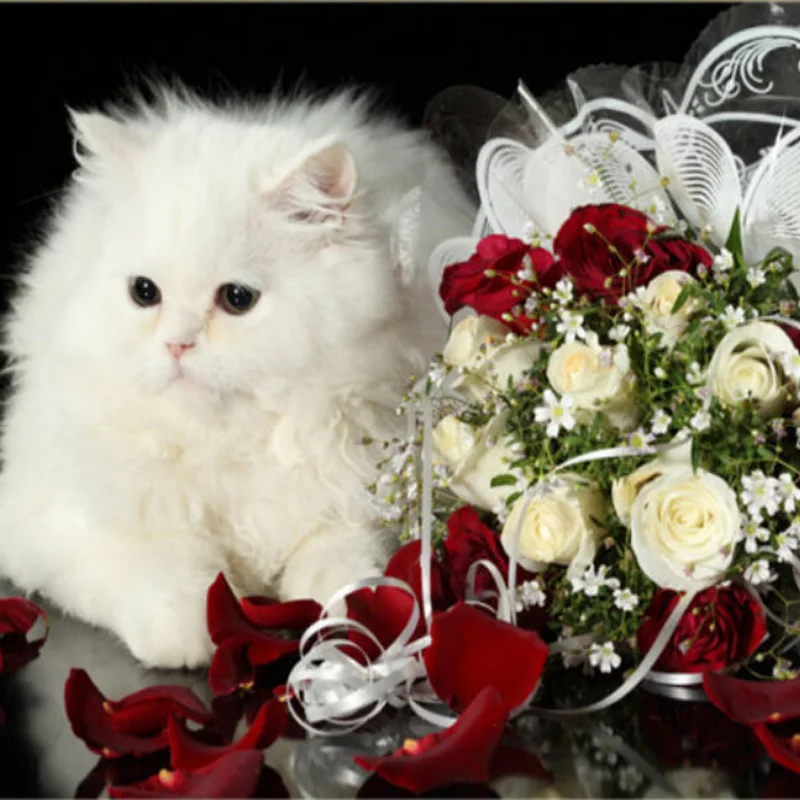 Diamond Mosaic Diy Embroidery 5D Square/round Drill Picture Full Painting Rose Cat | Дом и сад