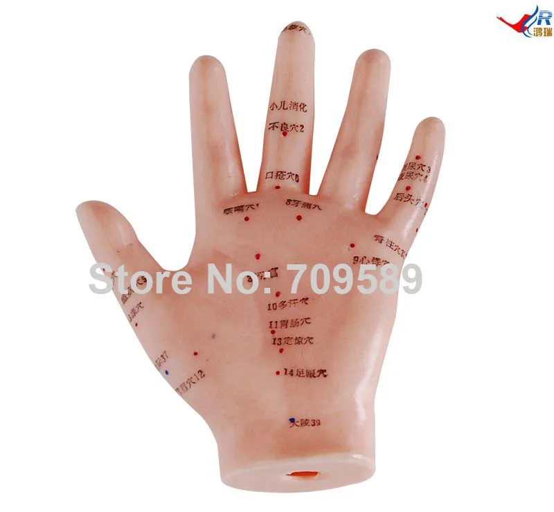 

Hand Acupuncture Model 13CM. acujpuncture hand