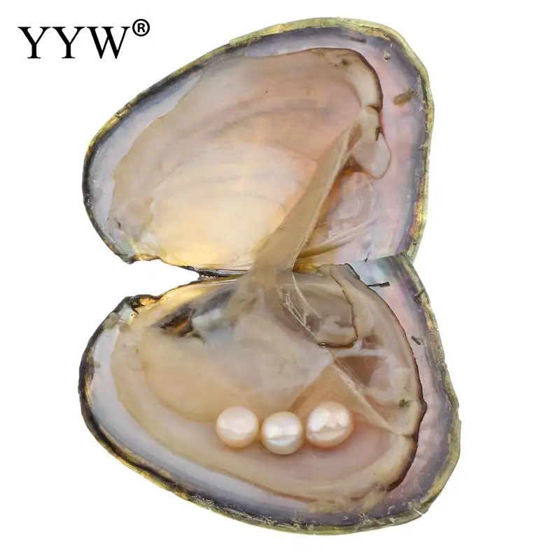 

YYW Natural Freshwater Cultured Love Wish Pearl Oyster 9mm Pink White Button Pearl Beads Jewelry Vacuum-packed Pearl Oyster