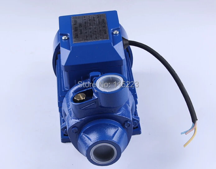 QB60 Mini Electric Water Pump 220v Or 110v Pumps High Pressurein Pumps