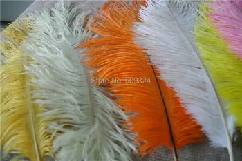 

Free shipping 100 pcs 12-14inches white black orange hot pink light pink yellow purple Green blue Grey ostrich feather plumes