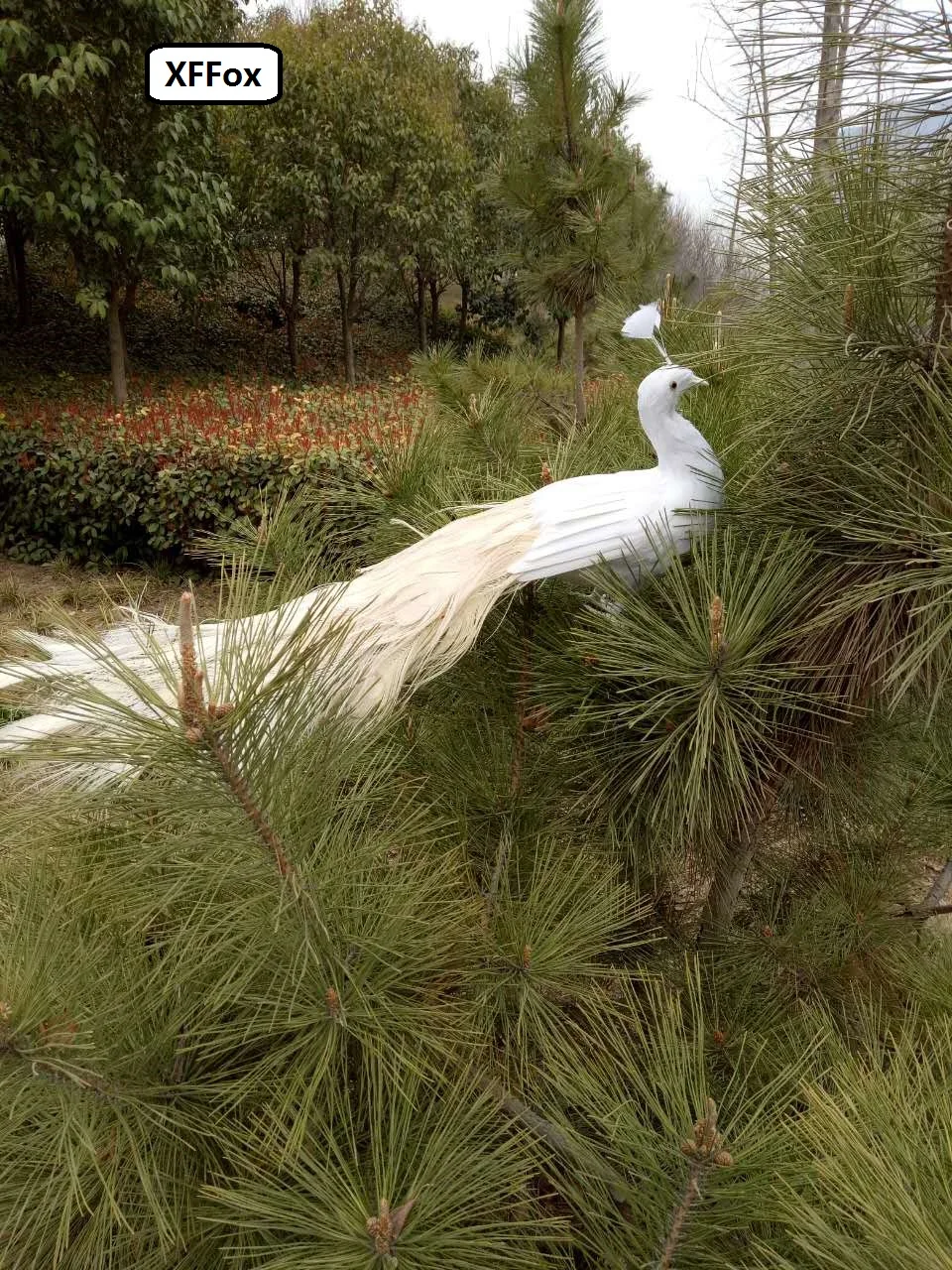 Белая настоящая жизнь модель павлина пена и перо моделирование красивый Павлин птица подарок около 80 см xf0315