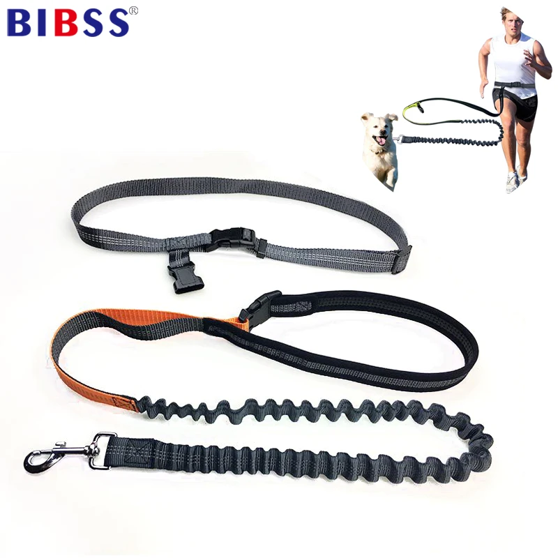 Nylon Reflective Dog Leash Hands Free dog harness Bungee Lead For
